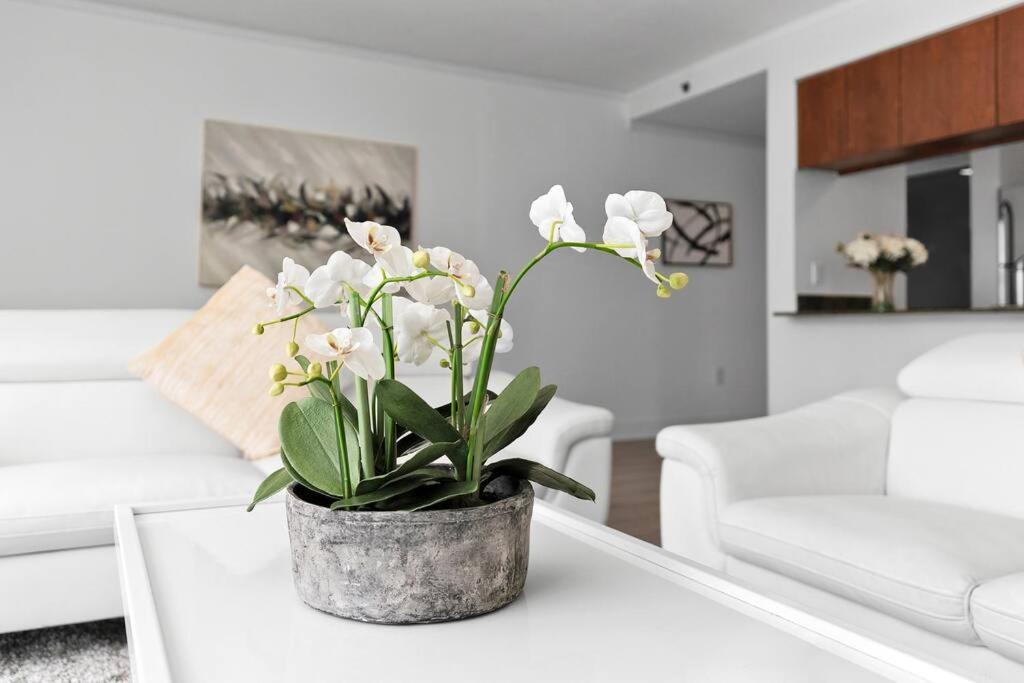 마이애미 Modern 2/2 With Beautiful Ocean And Brickell Views 아파트 외부 사진